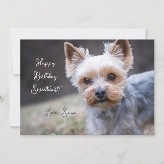 Yorkshire Terrier Custom Birthday Kaart (Voorkant)