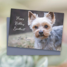 Yorkshire Terrier Custom Birthday Kaart