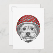 Yorkshire Terrier Dareduivel Briefkaart (Voorkant / Achterkant)