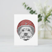 Yorkshire Terrier Dareduivel Briefkaart (Staand voorkant)