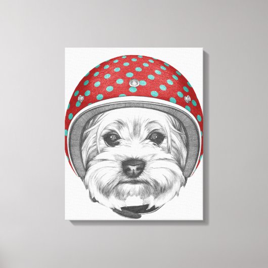 Yorkshire Terrier Dareduivel Canvas Afdruk (Voorkant)