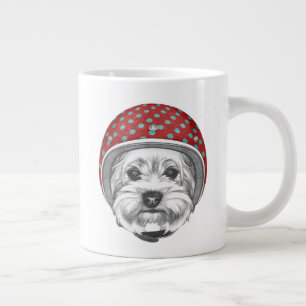 Yorkshire Terrier Dareduivel Grote Koffiekop