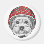 Yorkshire Terrier Dareduivel Magneet (Voorkant)