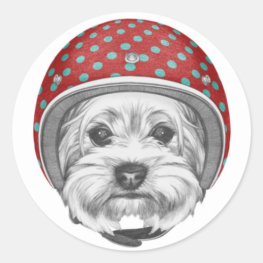 Yorkshire Terrier Dareduivel Ronde Sticker (Voorkant)