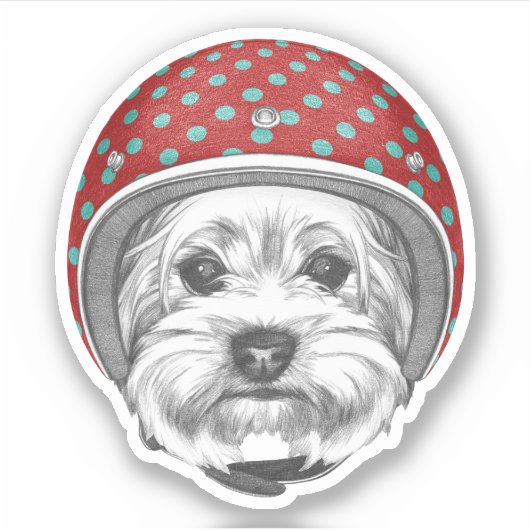 Yorkshire Terrier Dareduivel Sticker (Voorkant)
