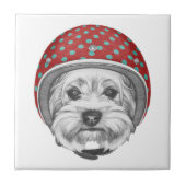 Yorkshire Terrier Dareduivel Tegeltje (Voorkant)