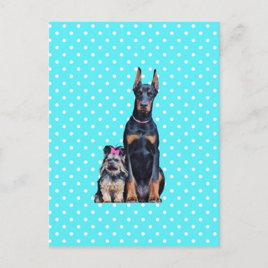 Yorkshire Terrier Doberman Blauwe stippen Briefkaart (Voorkant)