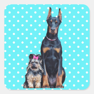 Yorkshire Terrier Doberman Blauwe stippen Vierkante Sticker