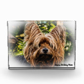 Yorkshire Terrier Dog. Fotoblokken (Voorkant)