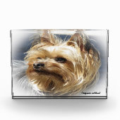 Yorkshire Terrier Dog. Fotoblokken (Voorkant)