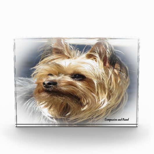 Yorkshire Terrier Dog. Fotoblokken (Voorkant)