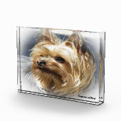 Yorkshire Terrier Dog. Fotoblokken (Rechts)