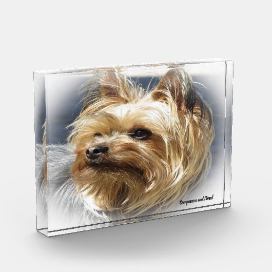 Yorkshire Terrier Dog. Fotoblokken (Links)