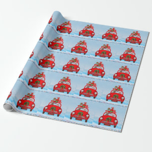 Yorkshire Terrier Dog in auto met kerstman Cadeaupapier