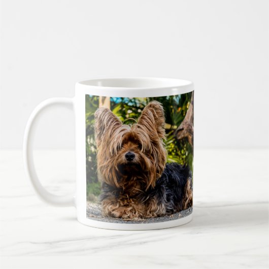 Yorkshire Terrier Dog Koffiemok (Links)
