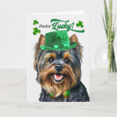 Yorkshire Terrier Dog Lucky St Patrick's Day Feestdagen Kaart (Voorkant)