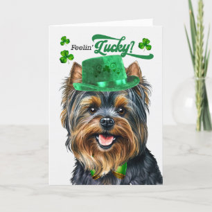 Yorkshire Terrier Dog Lucky St Patrick's Day Feestdagen Kaart