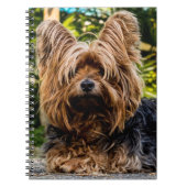 Yorkshire Terrier Dog Notitieboek (Voorkant)