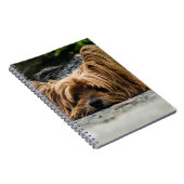 Yorkshire Terrier Dog Notitieboek (Rechterzijde)