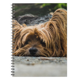 Yorkshire Terrier Dog Notitieboek