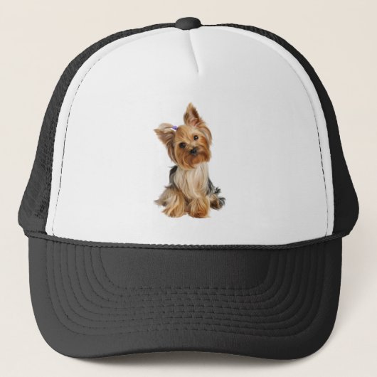 Yorkshire Terrier Dog Pet Animal Custom (Voorkant)