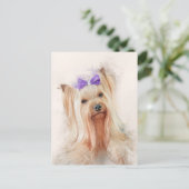 Yorkshire Terrier Dog Portrait Briefkaart (Staand voorkant)