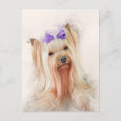 Yorkshire Terrier Dog Portrait Briefkaart (Voorkant)