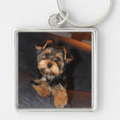 Yorkshire Terrier Dog Sleutelhanger (Voorkant)