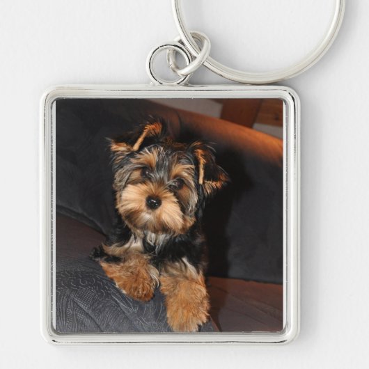 Yorkshire Terrier Dog Sleutelhanger (Voorkant)