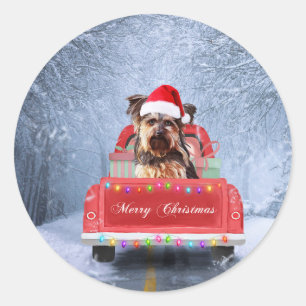 Yorkshire Terrier Dog Snow met kerstmis Ronde Sticker