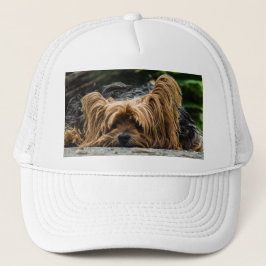 Yorkshire Terrier Dog Trucker Pet