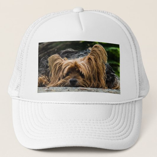Yorkshire Terrier Dog Trucker Pet (Voorkant)