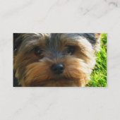 Yorkshire Terrier Dog Visitekaartje (Achterkant)