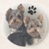 Yorkshire Terrier Double Trouble Onderzetter (Voorkant)