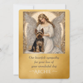 Yorkshire Terrier Elegant Engel Sympathie