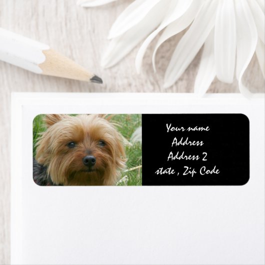 Yorkshire Terrier Etiket (Insitu)