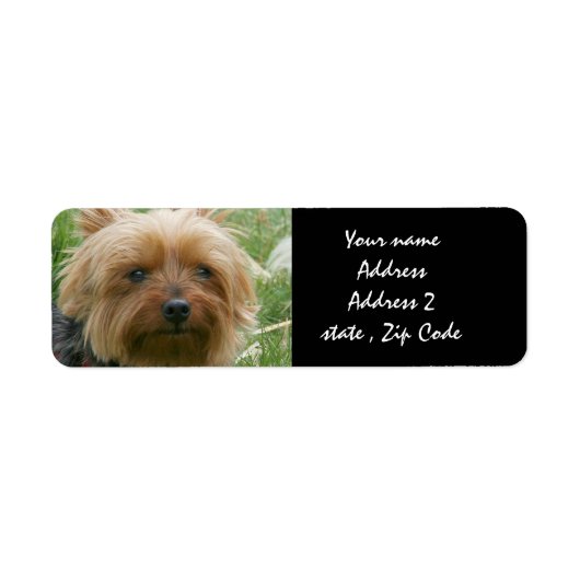 Yorkshire Terrier Etiket (Voorkant)