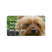 Yorkshire Terrier Etiket (Voorkant)