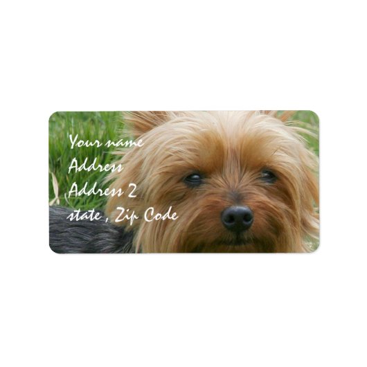 Yorkshire Terrier Etiket (Voorkant)