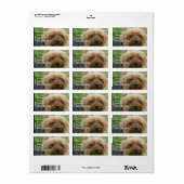 Yorkshire Terrier Etiket (Full Sheet)