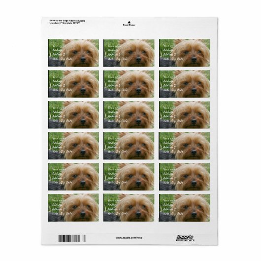 Yorkshire Terrier Etiket (Full Sheet)