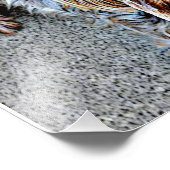 Yorkshire Terrier Foto Afdruk (Hoek)