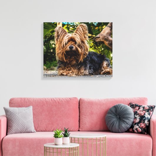 Yorkshire Terrier Foto canvas wandkunst (Insitu (Woonkamer))