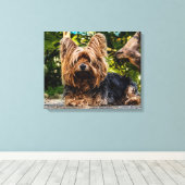 Yorkshire Terrier Foto canvas wandkunst Afdruk (Insitu (Houten vloer))