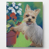 Yorkshire Terrier Fotoplaat (Voorkant)