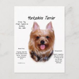 Yorkshire Terrier Geschiedenis Ontwerp Briefkaart