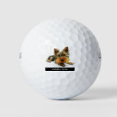 Yorkshire Terrier Golfballen (Voorkant)