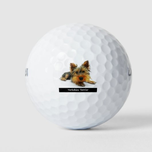 Yorkshire Terrier Golfballen (Voorkant)