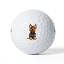 Yorkshire Terrier Golfballen