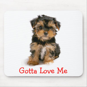 Yorkshire Terrier Gotta Love Me Puppy Honden Muism Muismat